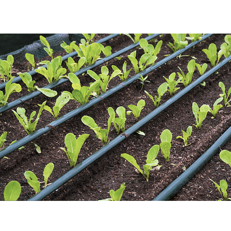 Considerations for Drip Irrigation Installation